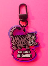 Load image into Gallery viewer, “Oh Lawd, He Comin!” Chubby kitty cat Rainbow Holographic Keychain!
