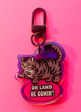 Load image into Gallery viewer, “Oh Lawd, He Comin!” Chubby kitty cat Rainbow Holographic Keychain!