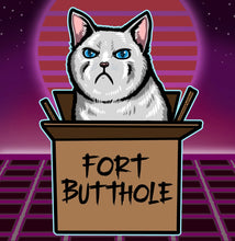 Load image into Gallery viewer, Fort butthole! Angry white cat in box! Kitten kitty vaporwave cute Funny meme - 5x5 inches Framed Album Cover Styled Art print!