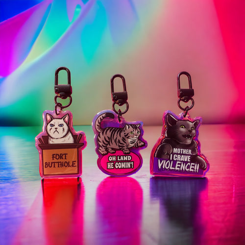 Rainbow Holographic Keychain bundle deal! - Meme Kitties! Save $2 with this deal!